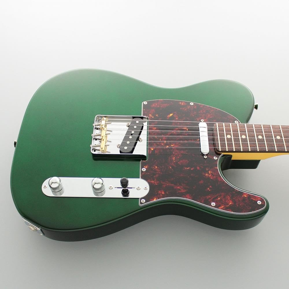 美品 限定モデル 2023年製 FUJIGEN KNTE100RAL Amazon | FUJIGEN Neo Classic SERIES NTE100RAL-CAG/01 エレキ